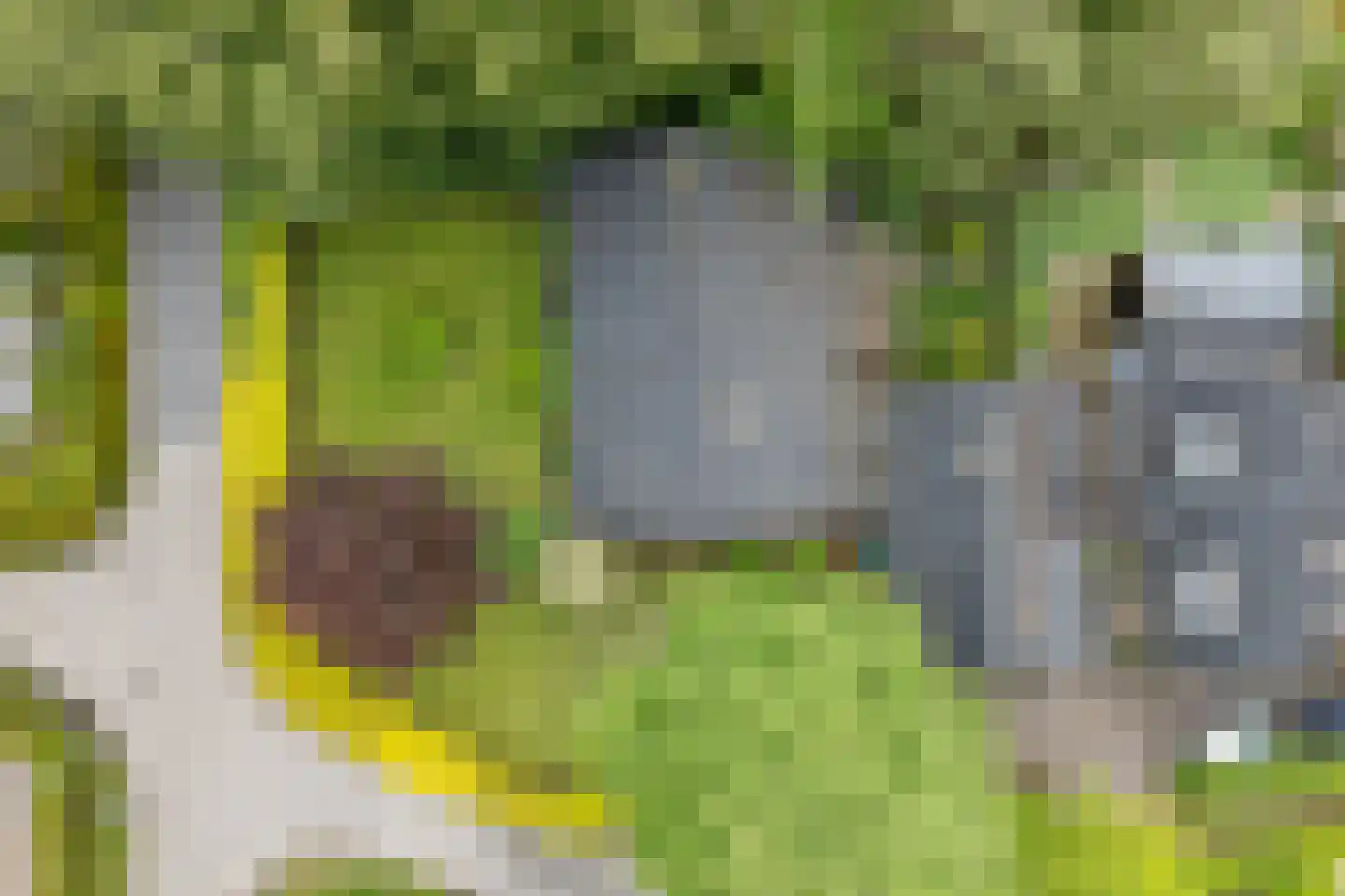 Goorweg 28 Doornspijk thumbnail 39