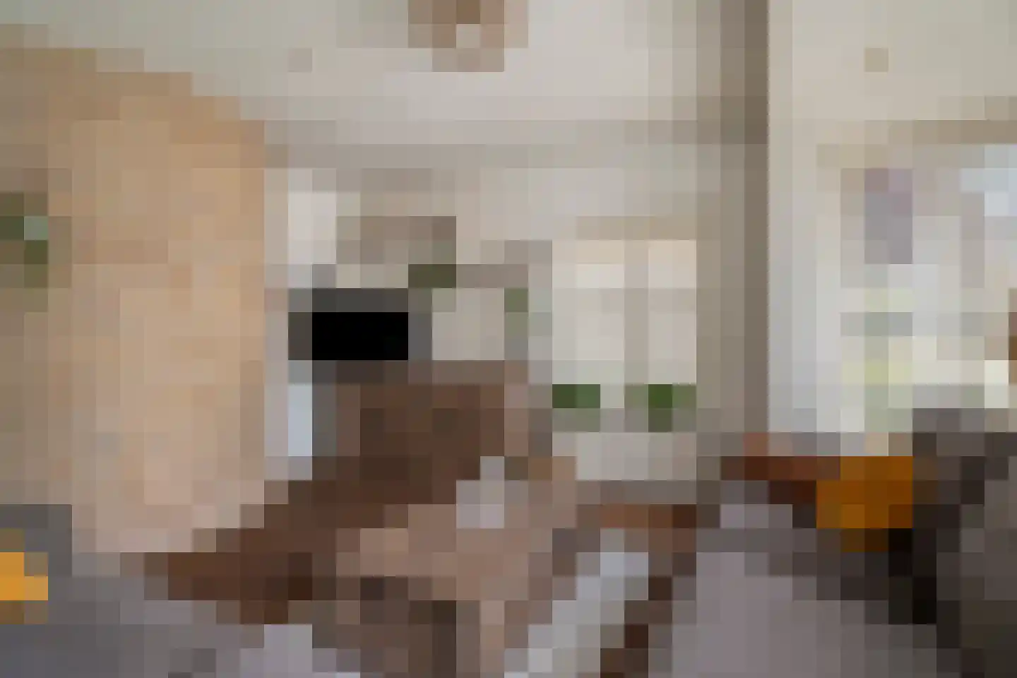Goorweg 29 Doornspijk thumbnail 13