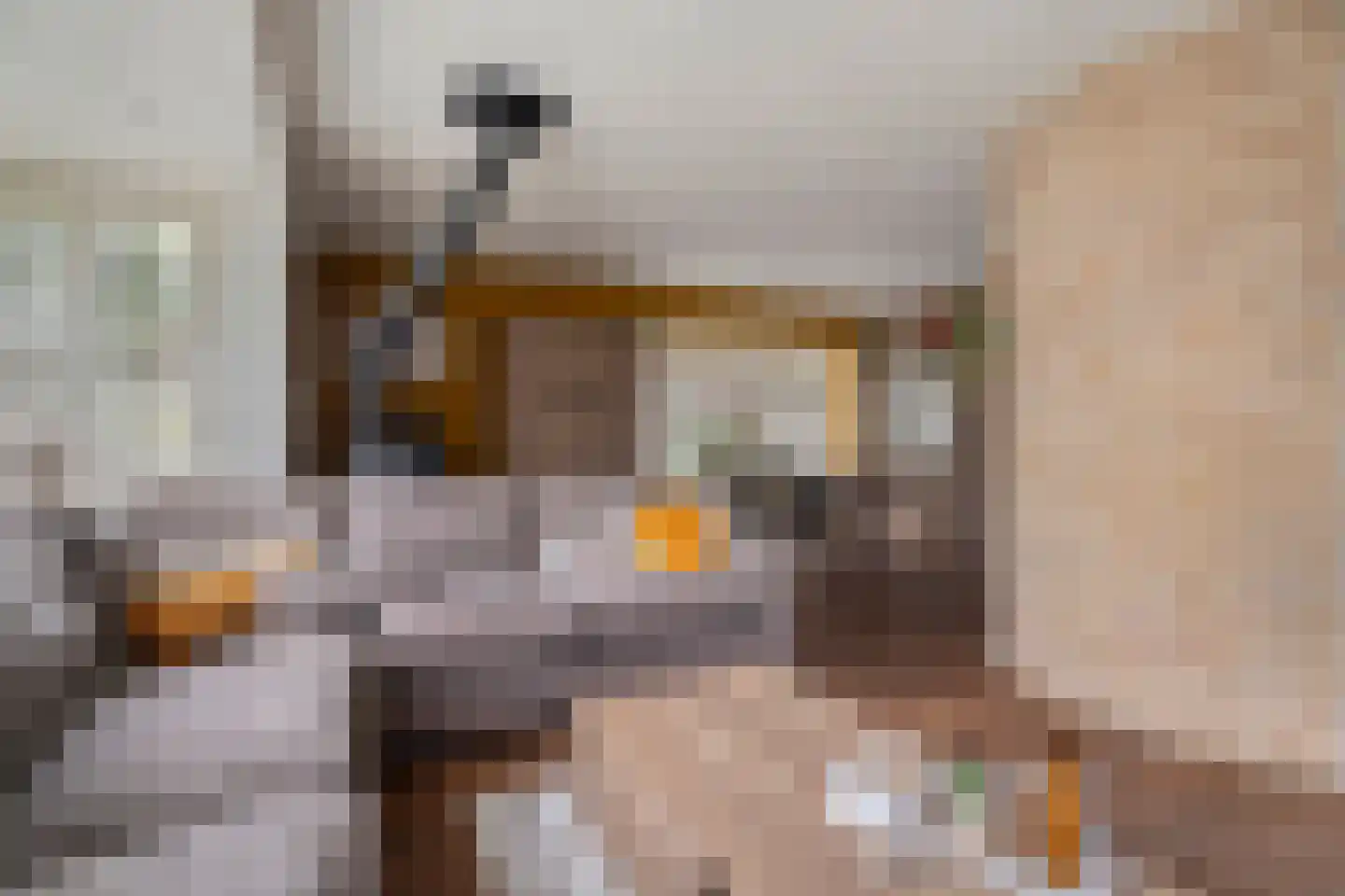Goorweg 29 Doornspijk thumbnail 16