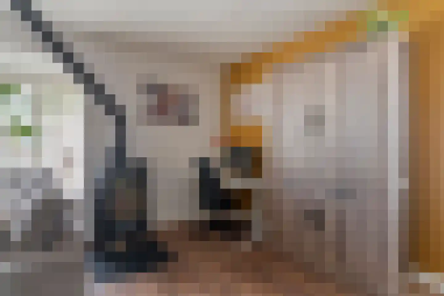Goorweg 29 Doornspijk thumbnail 18