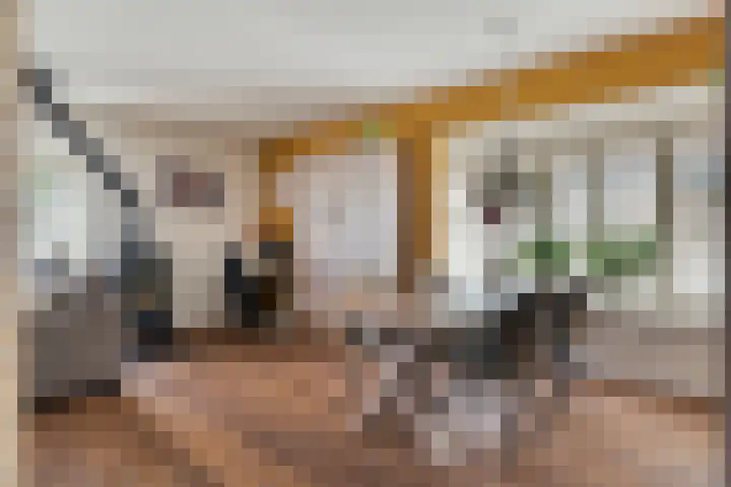 Goorweg 29 Doornspijk thumbnail 21