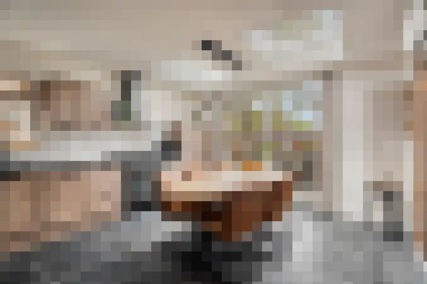 Goorweg 29 Doornspijk thumbnail 23