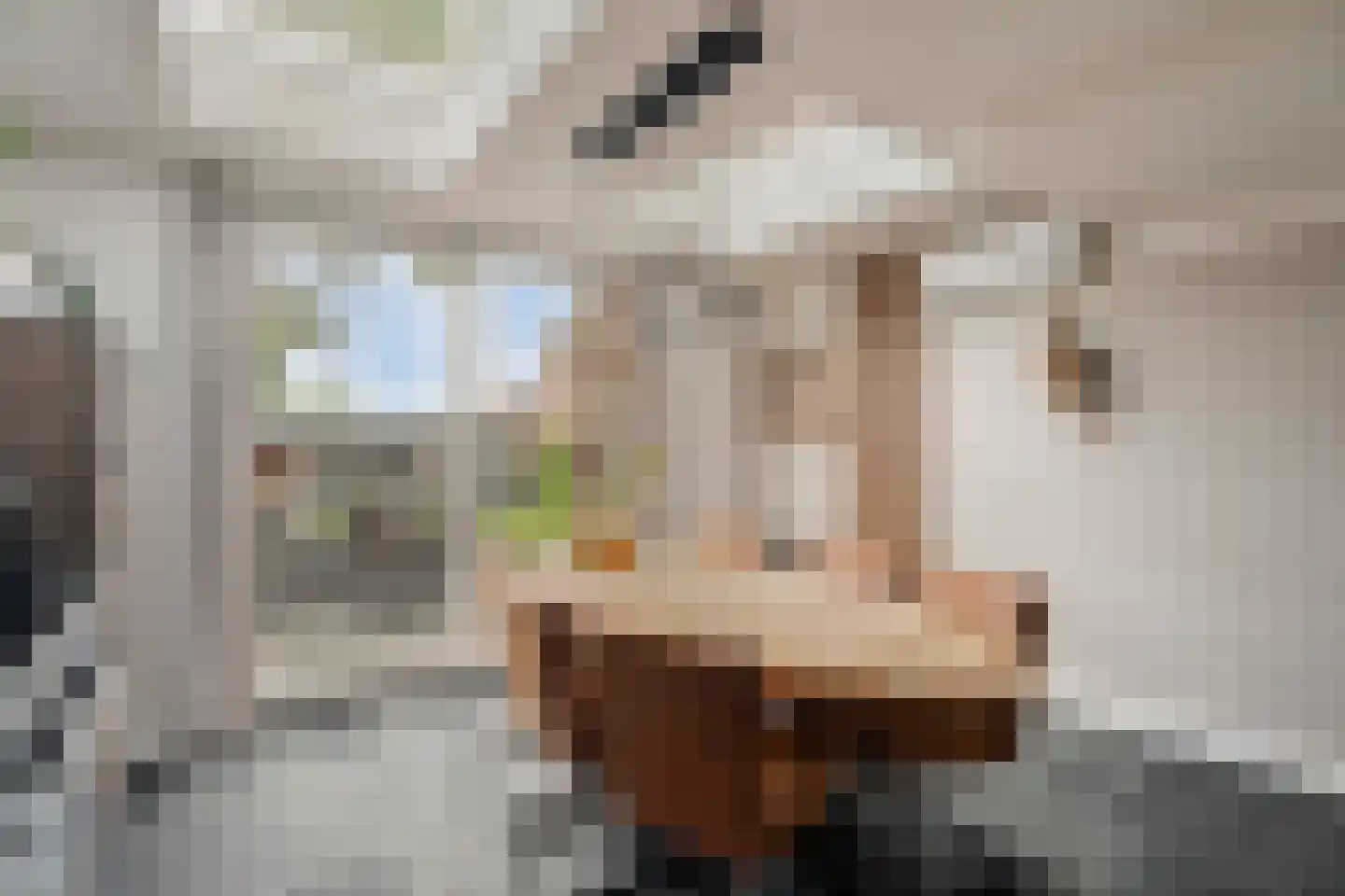 Goorweg 29 Doornspijk thumbnail 24