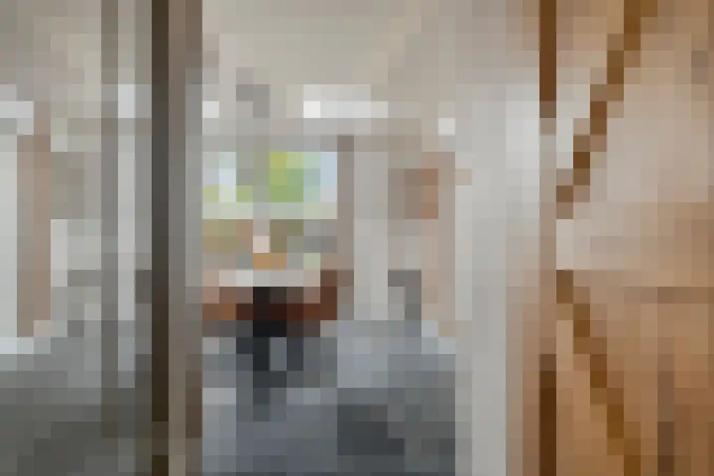 Goorweg 29 Doornspijk thumbnail 26
