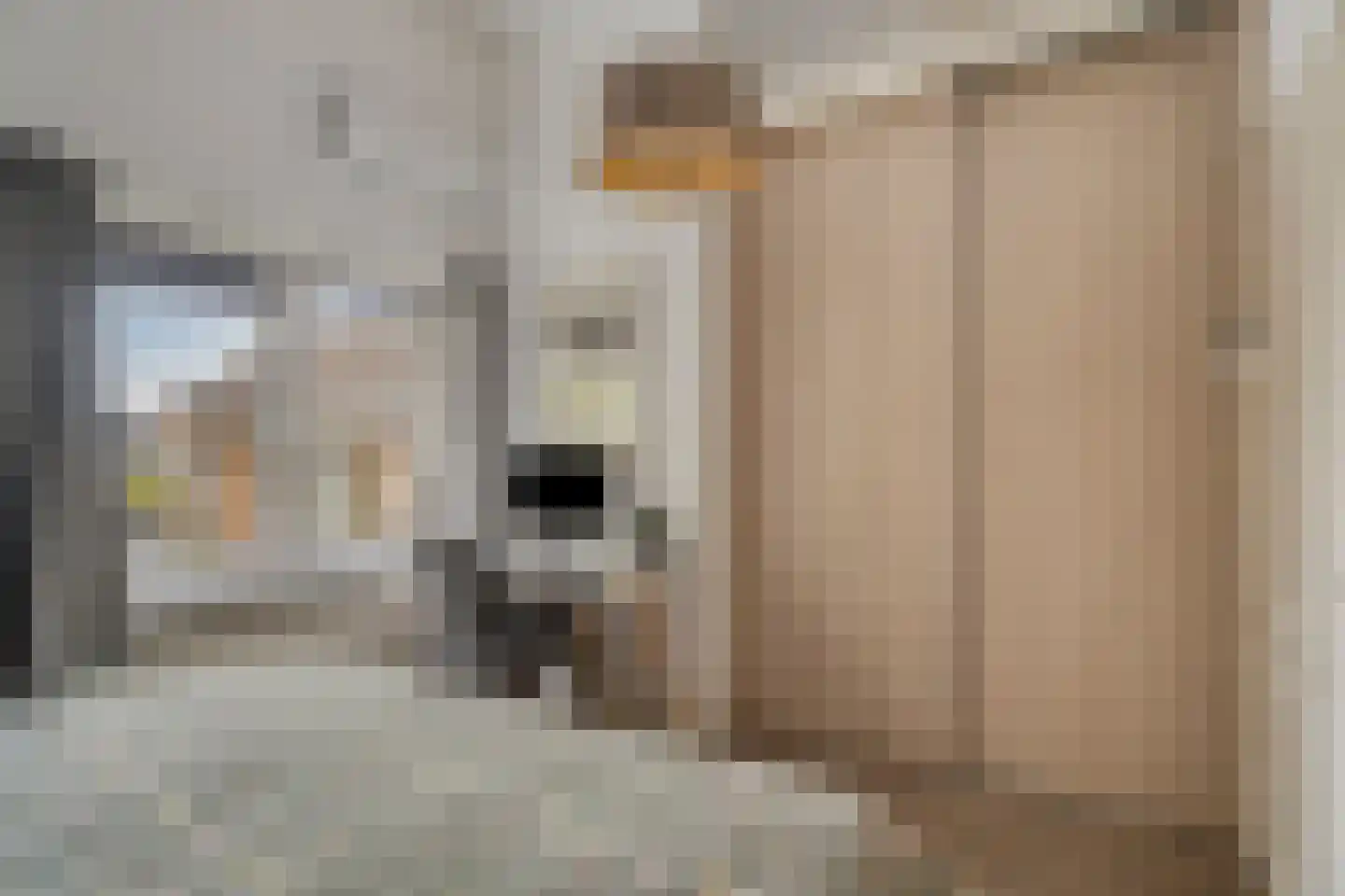 Goorweg 29 Doornspijk thumbnail 41