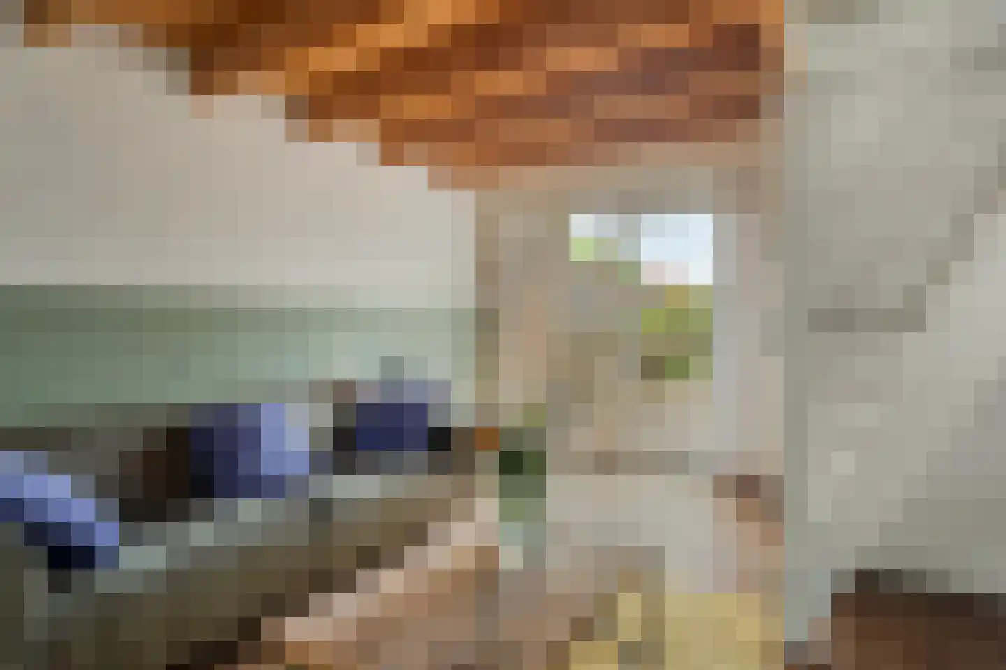 Goorweg 29 Doornspijk thumbnail 53