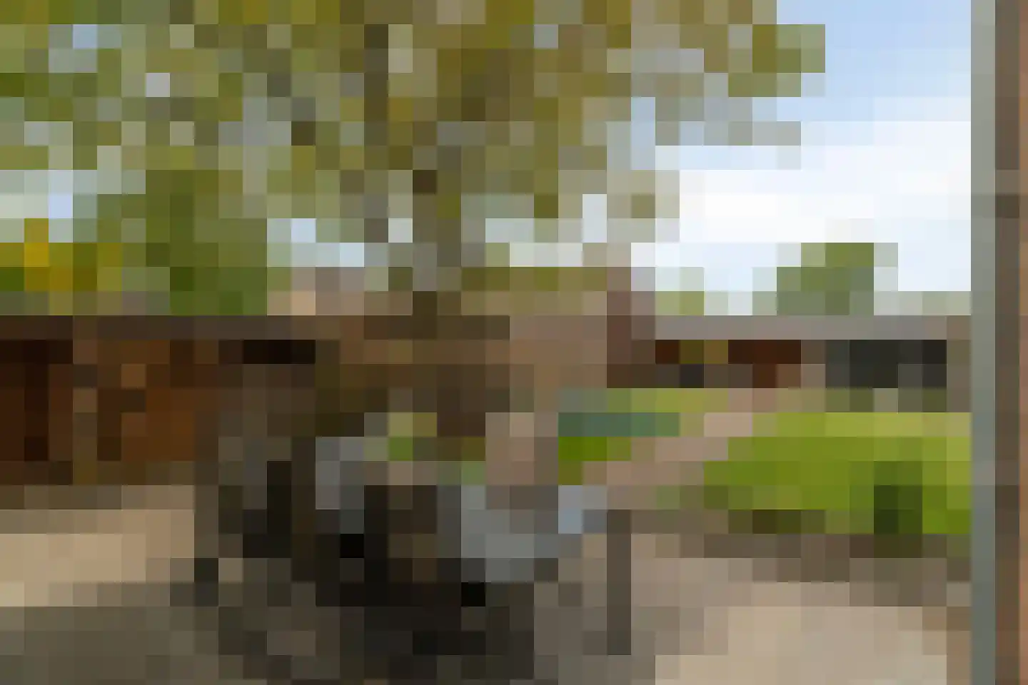Goorweg 29 Doornspijk thumbnail 58
