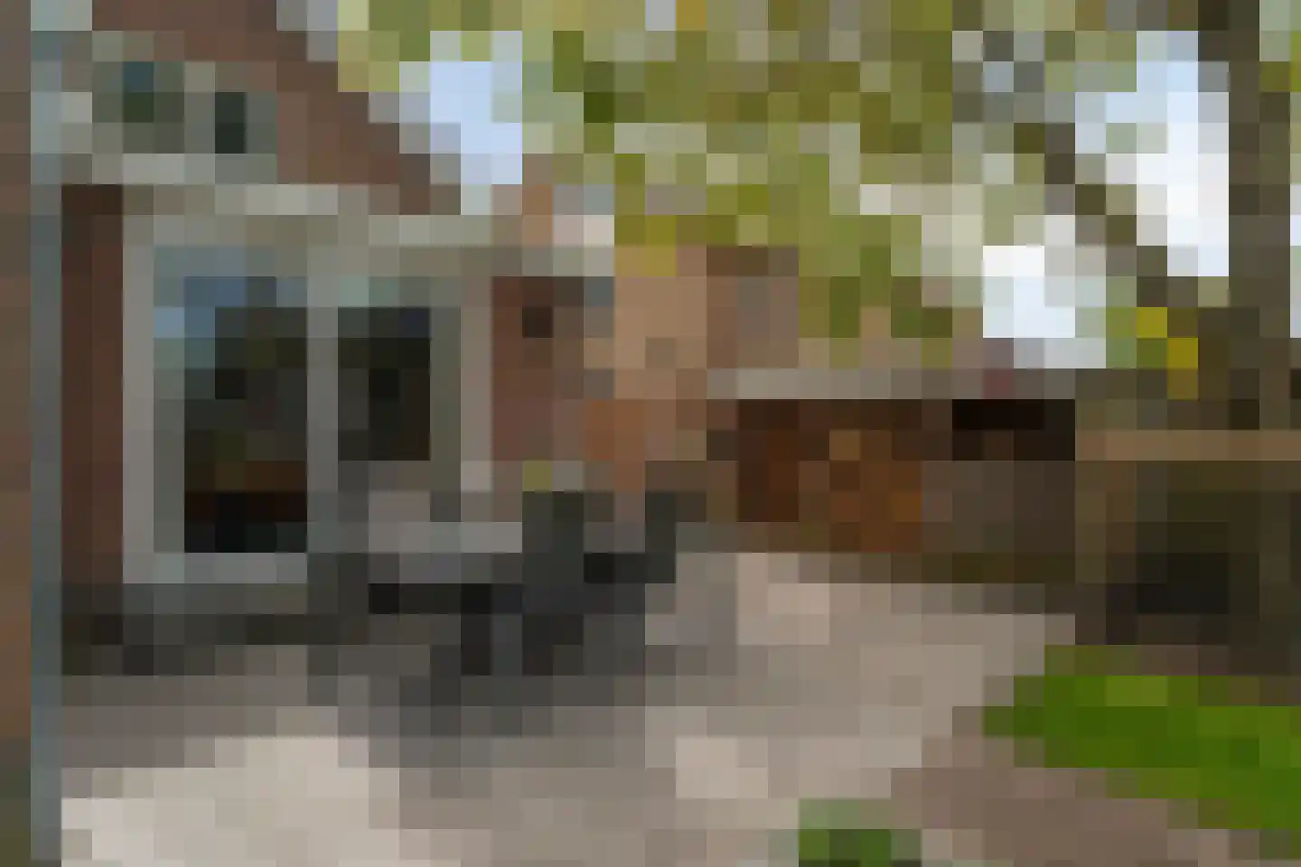 Goorweg 29 Doornspijk thumbnail 60