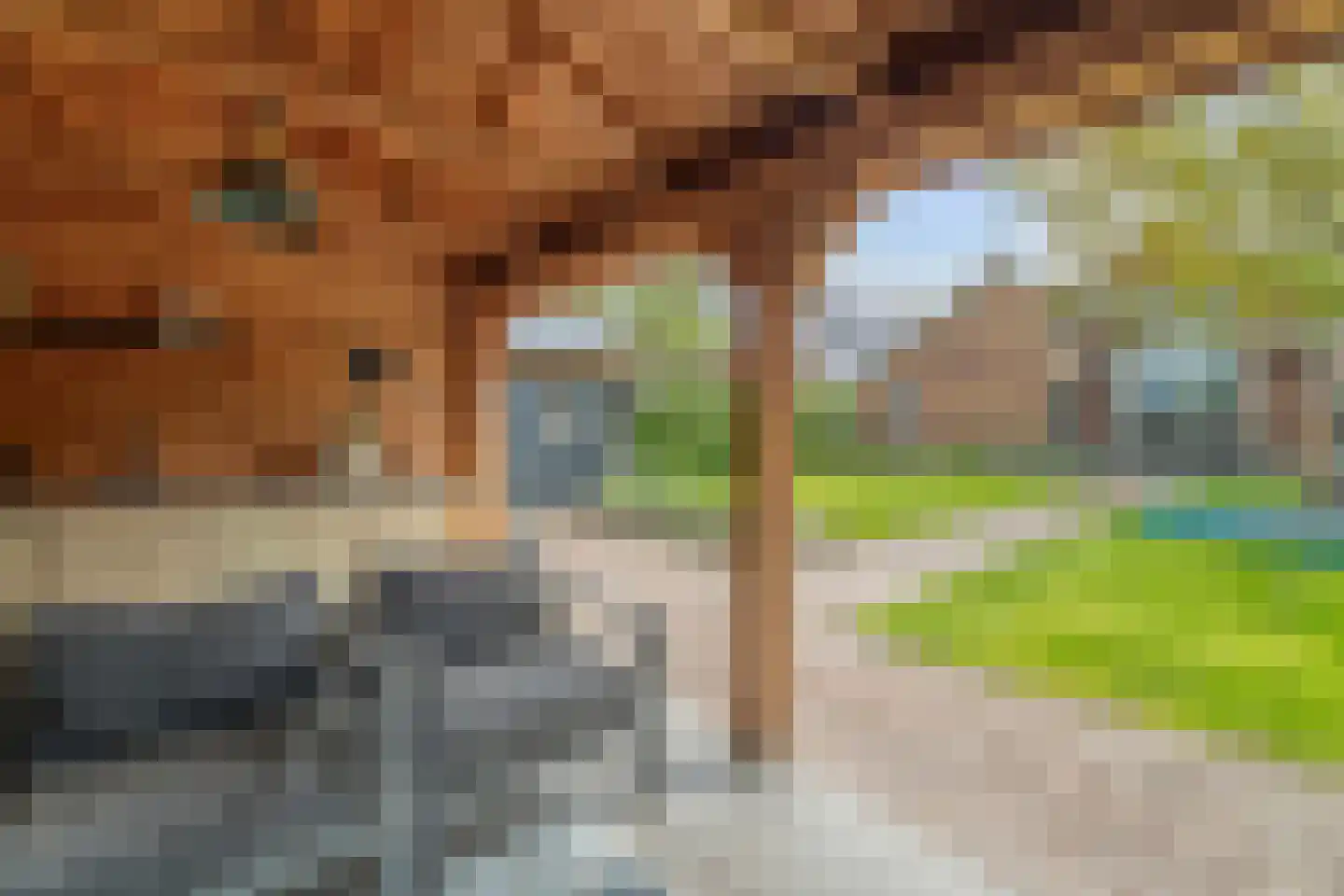 Goorweg 29 Doornspijk thumbnail 67