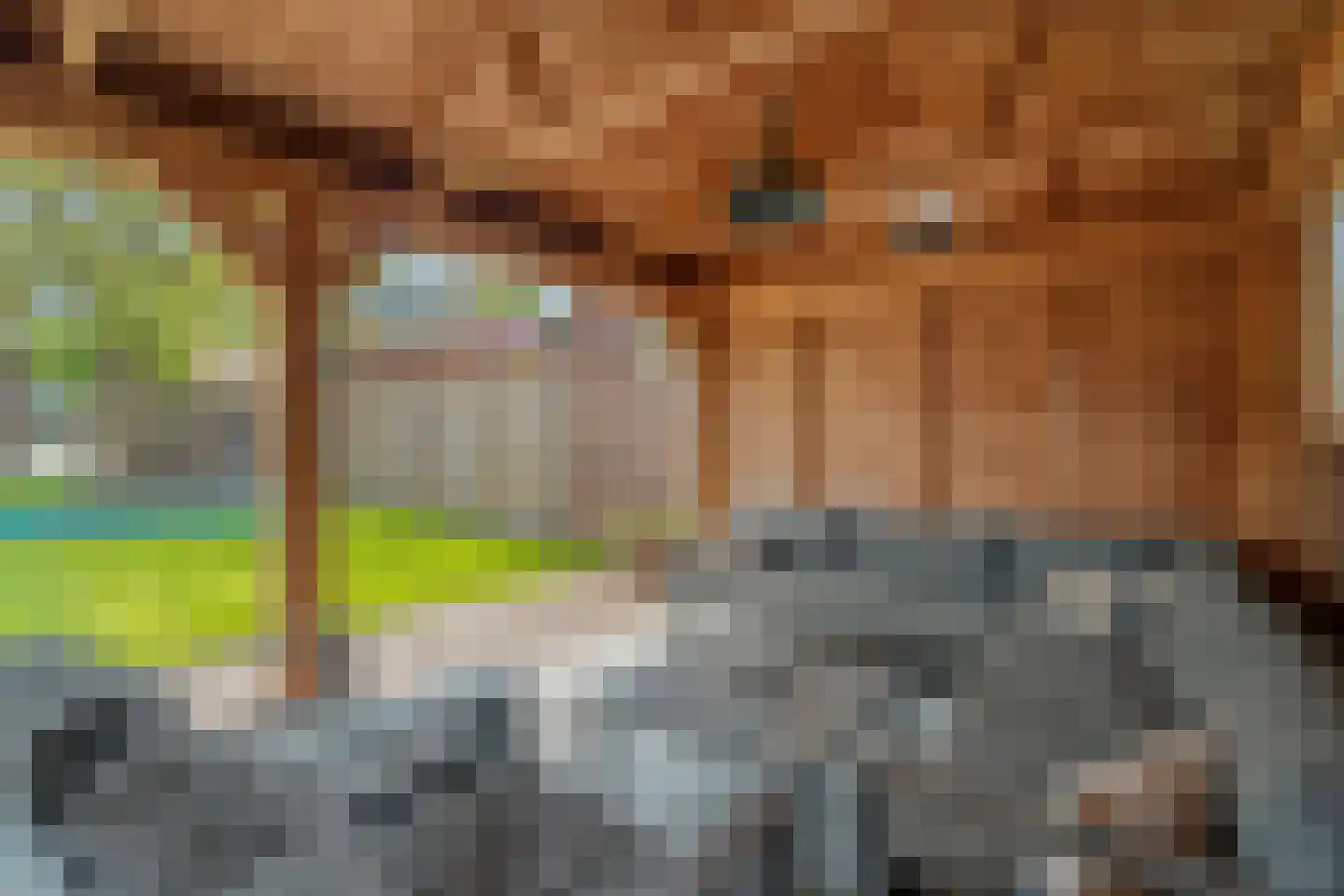Goorweg 29 Doornspijk thumbnail 68