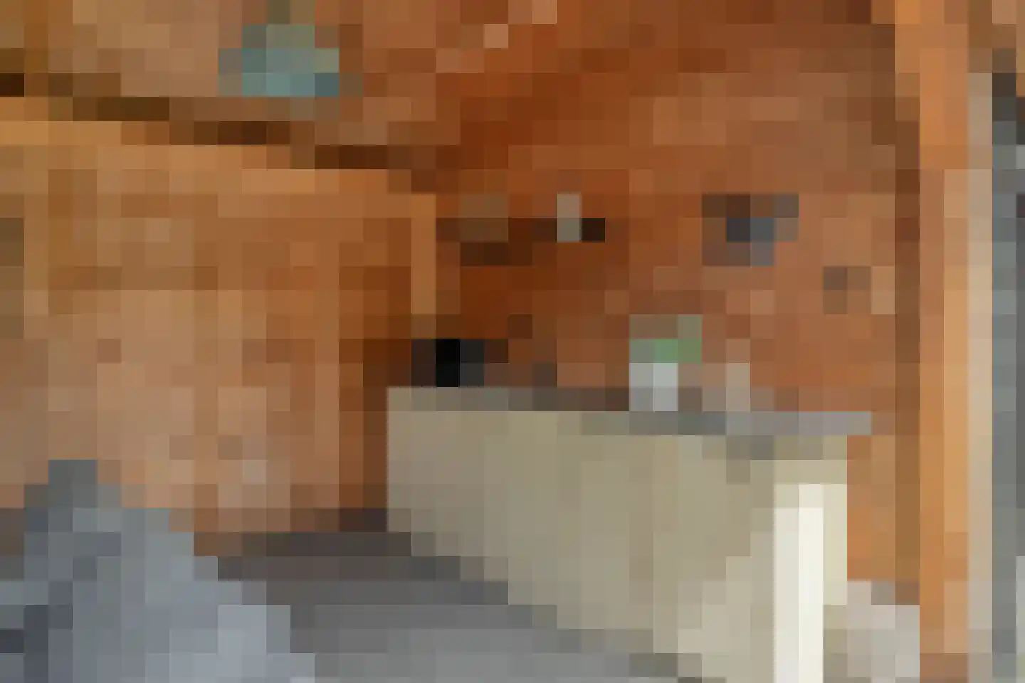 Goorweg 29 Doornspijk thumbnail 69