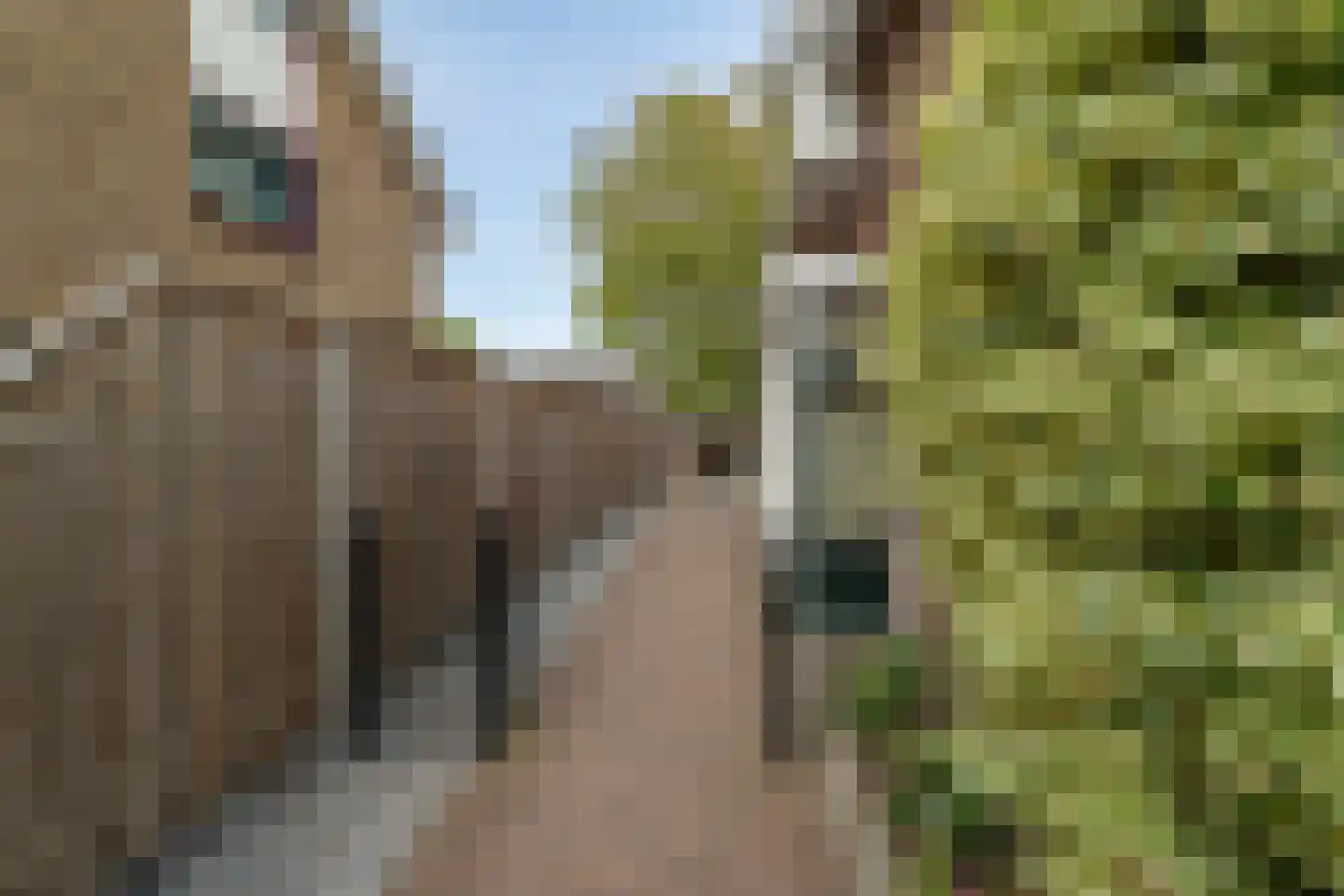 Goorweg 29 Doornspijk thumbnail 71