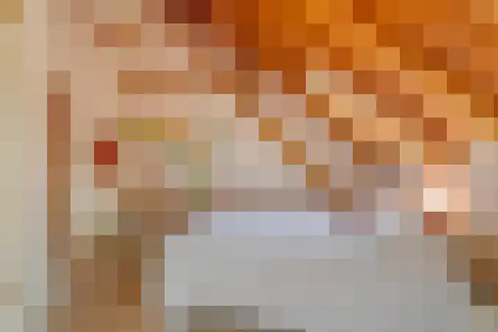 Goorweg 3 01 Riel thumbnail 37