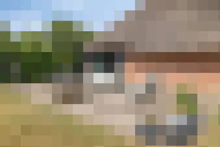 Goorweg 3 01 Riel thumbnail 43