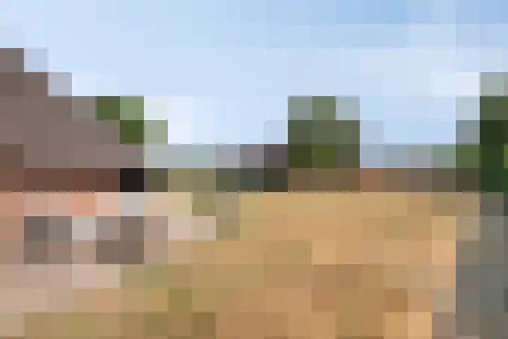 Goorweg 3 01 Riel thumbnail 44
