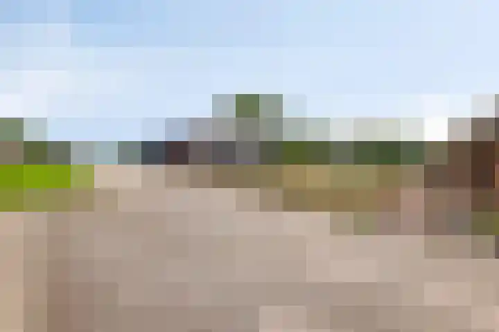 Goorweg 3 01 Riel thumbnail 48