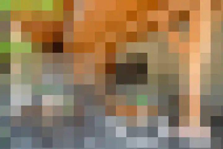 Goorweg 3 01 Riel thumbnail 7