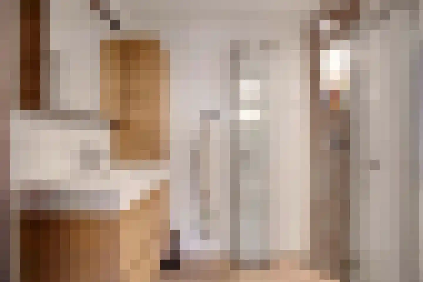 Goorweg 3 Doornspijk thumbnail 30