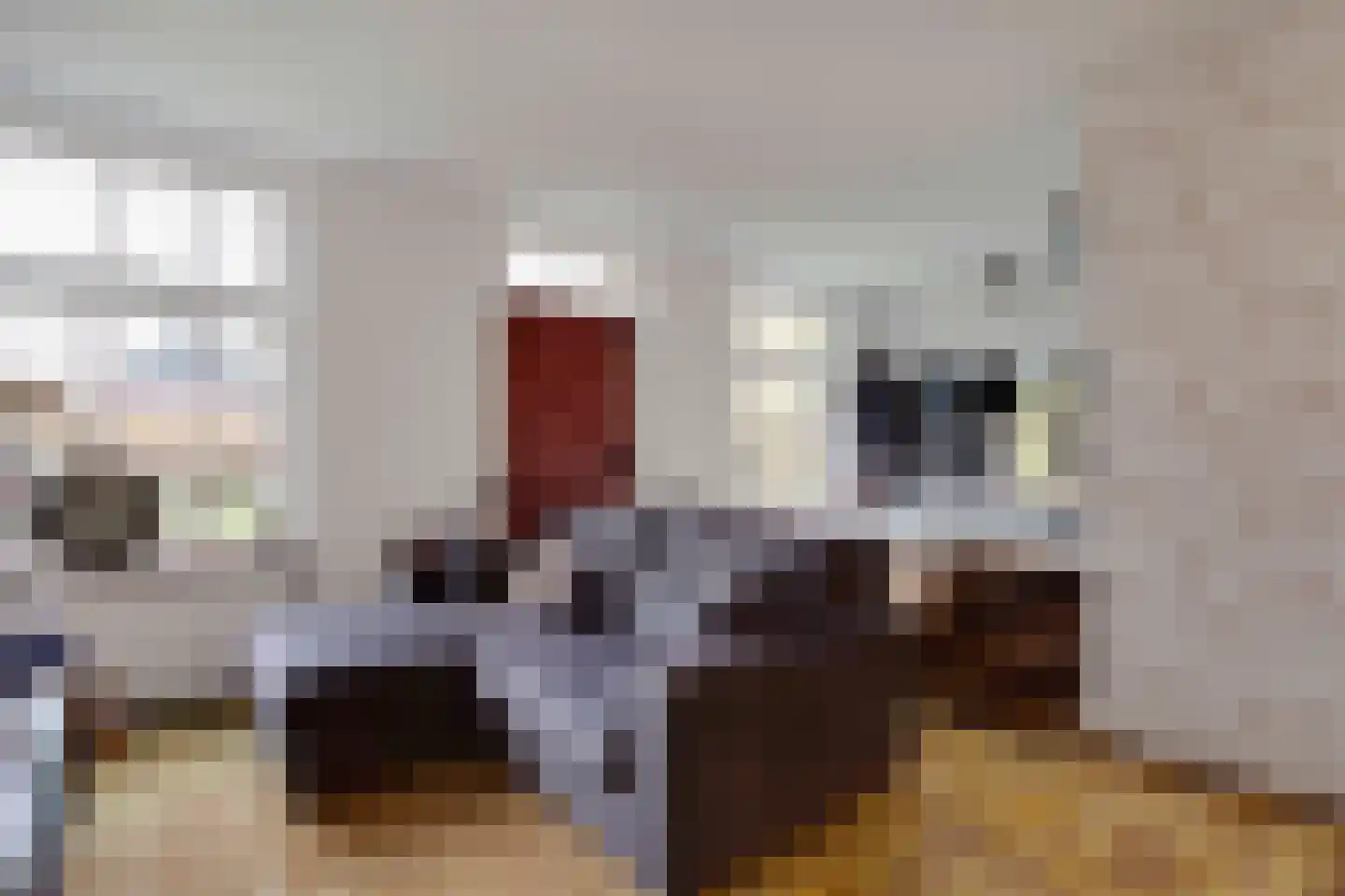 Goorweg 3 Doornspijk thumbnail 31