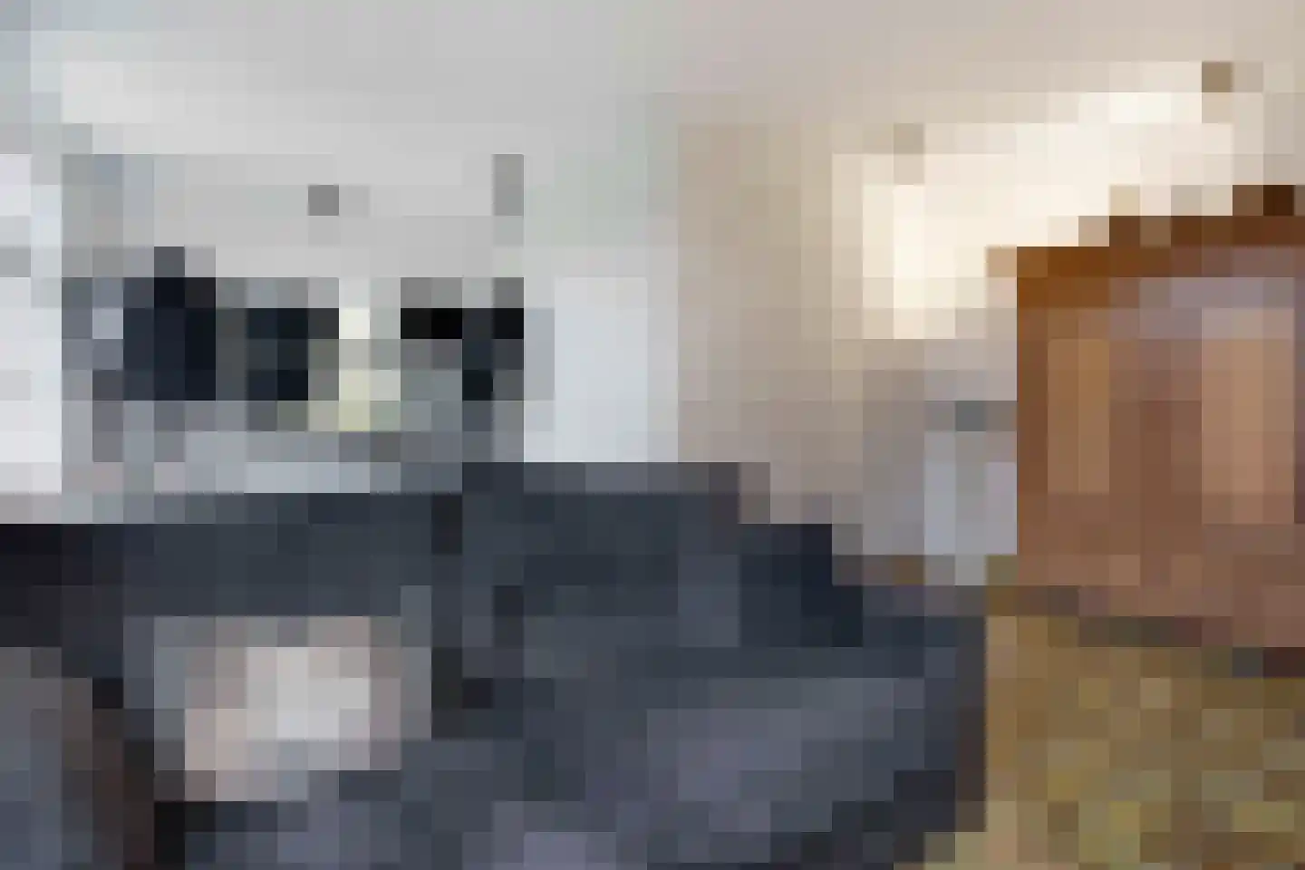 Goorweg 3 Doornspijk thumbnail 32