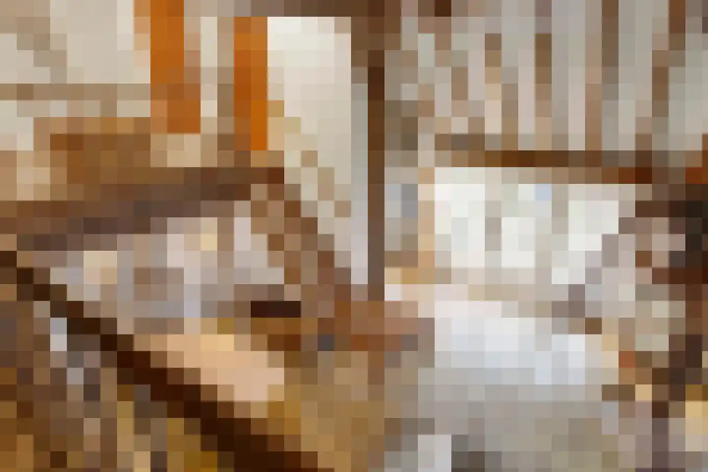 Goorweg 3 Doornspijk thumbnail 33