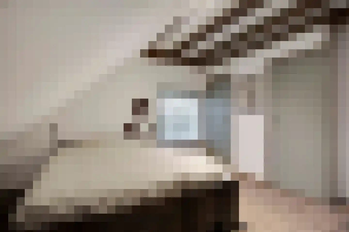 Goorweg 3 Doornspijk thumbnail 37