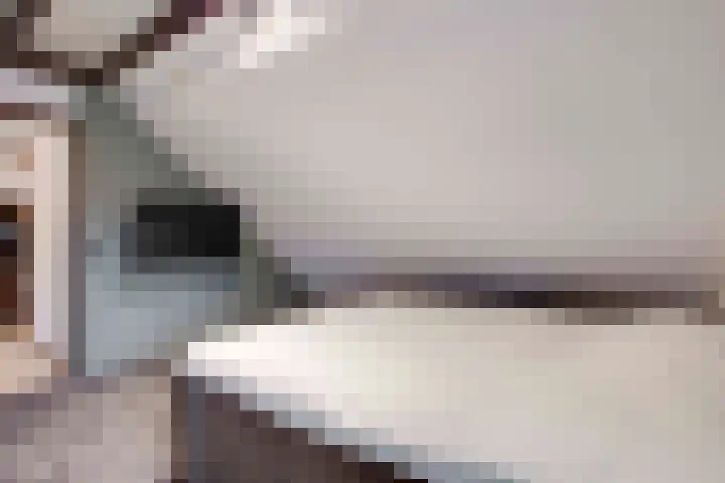 Goorweg 3 Doornspijk thumbnail 38