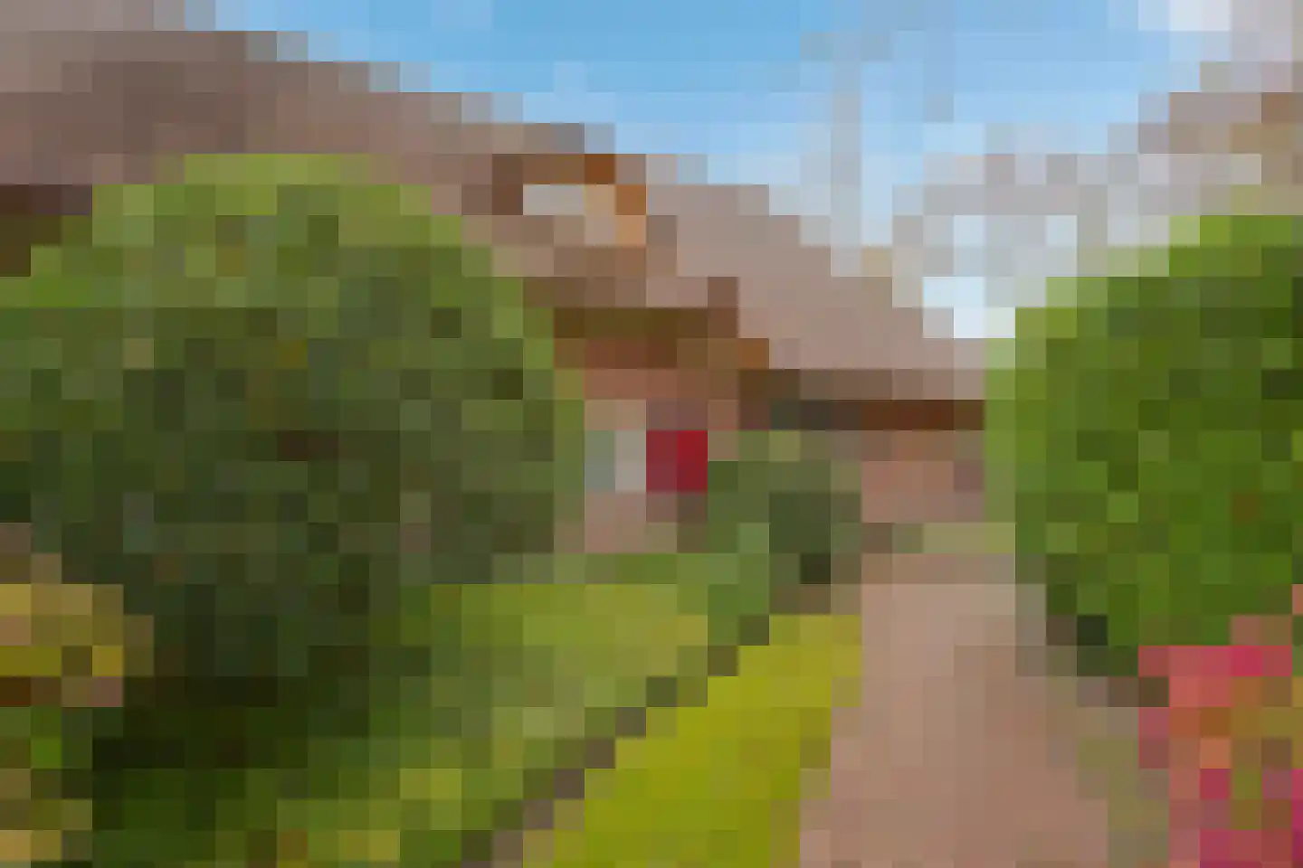 Goorweg 3 Doornspijk thumbnail 4