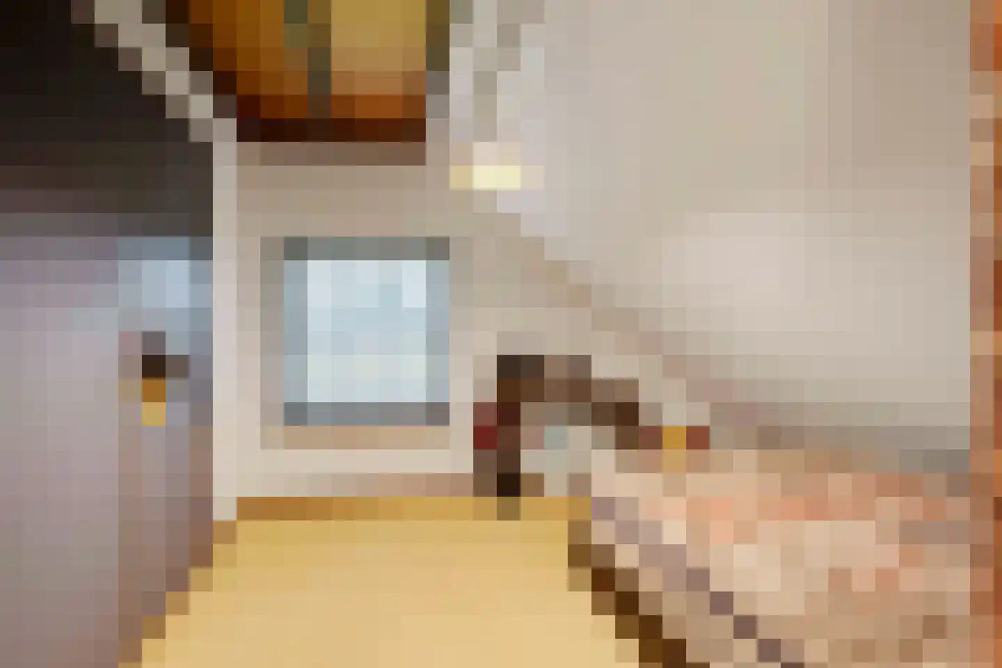Goorweg 3 Doornspijk thumbnail 41