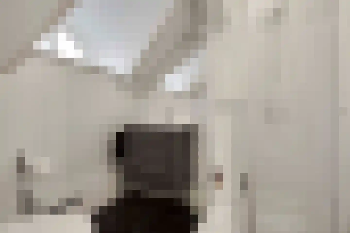 Goorweg 3 Doornspijk thumbnail 44
