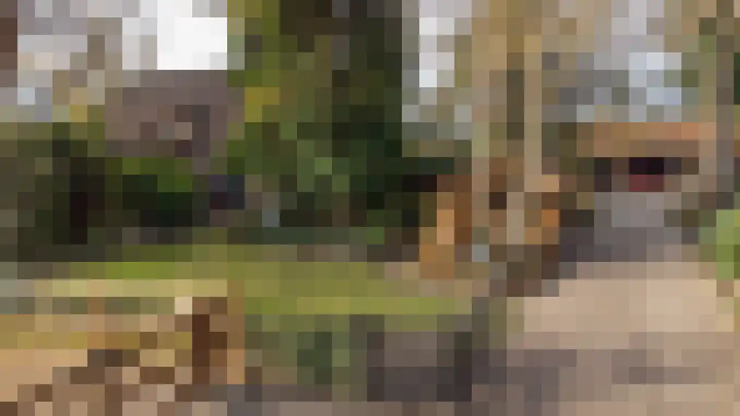 Goorweg 3 Doornspijk thumbnail 48