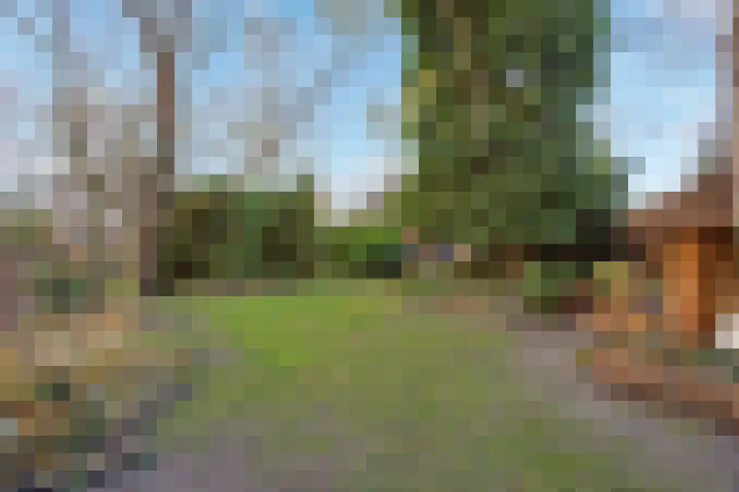 Goorweg 3 Doornspijk thumbnail 50