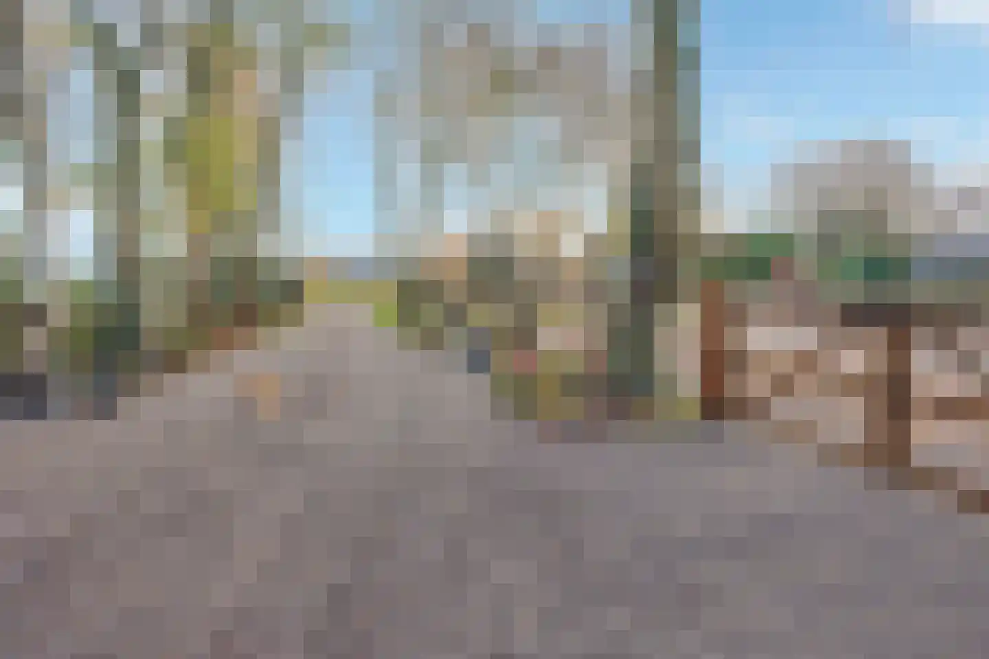 Goorweg 3 Doornspijk thumbnail 51
