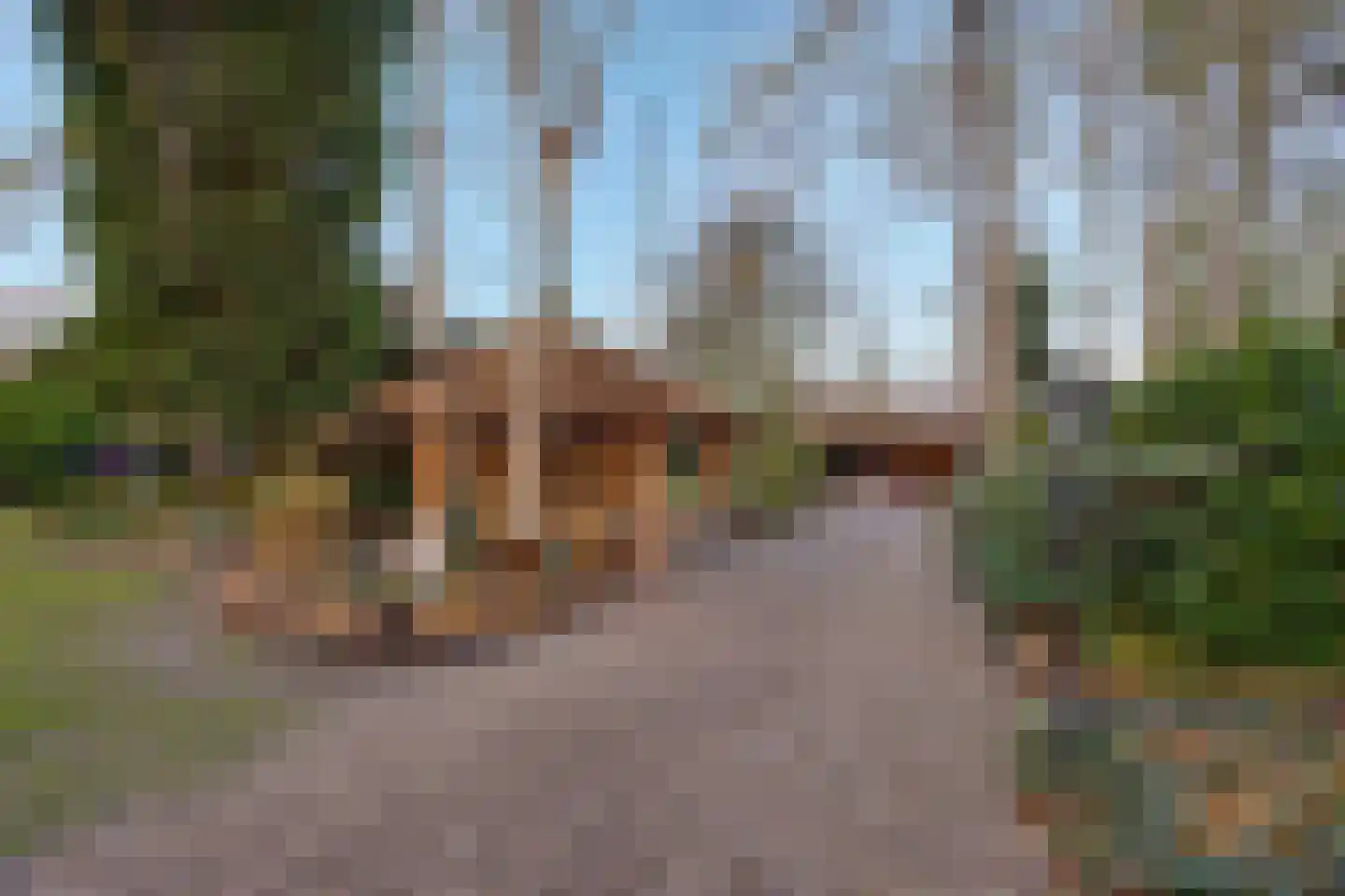 Goorweg 3 Doornspijk thumbnail 53