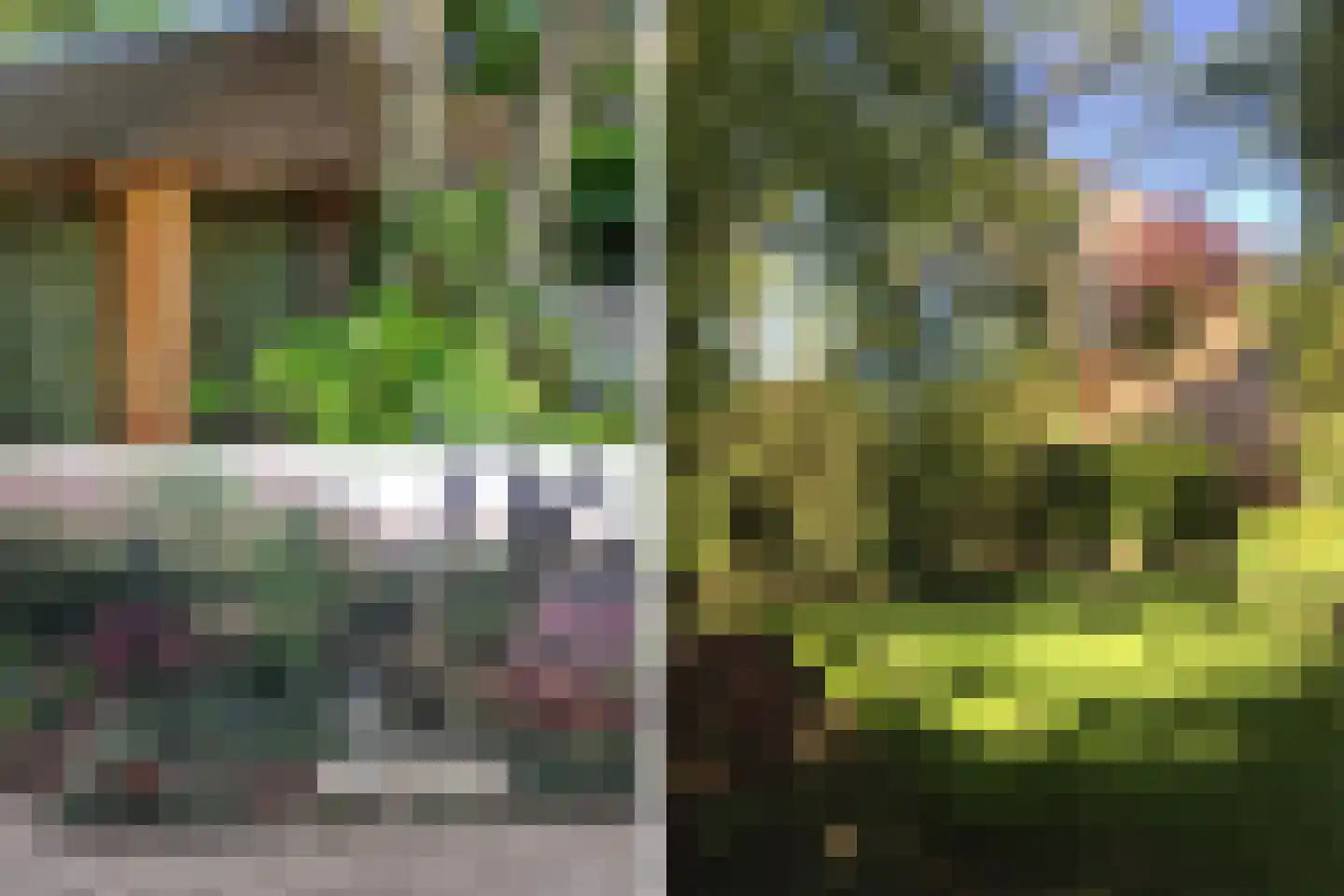 Goorweg 3 Doornspijk thumbnail 54