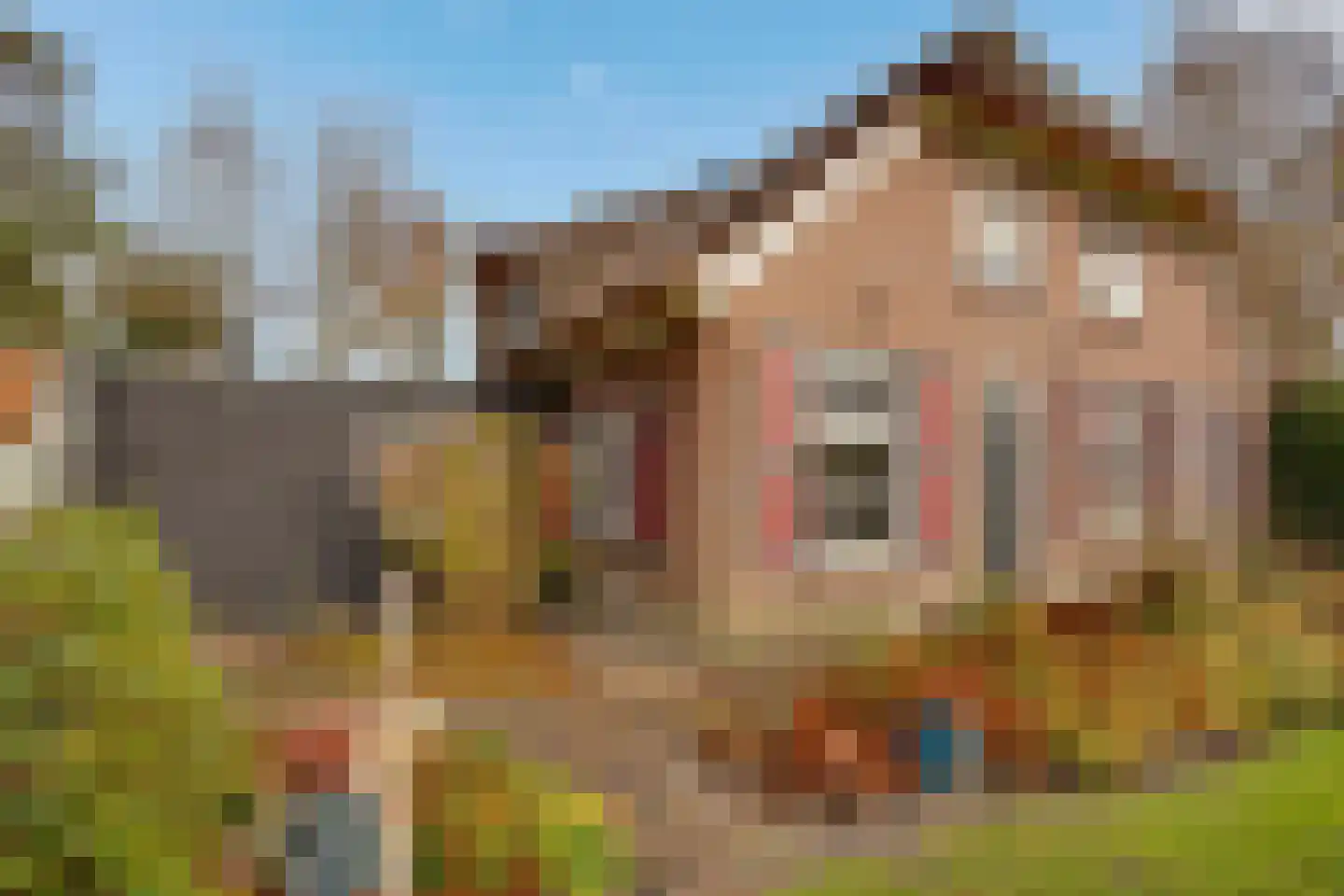 Goorweg 3 Doornspijk thumbnail 72