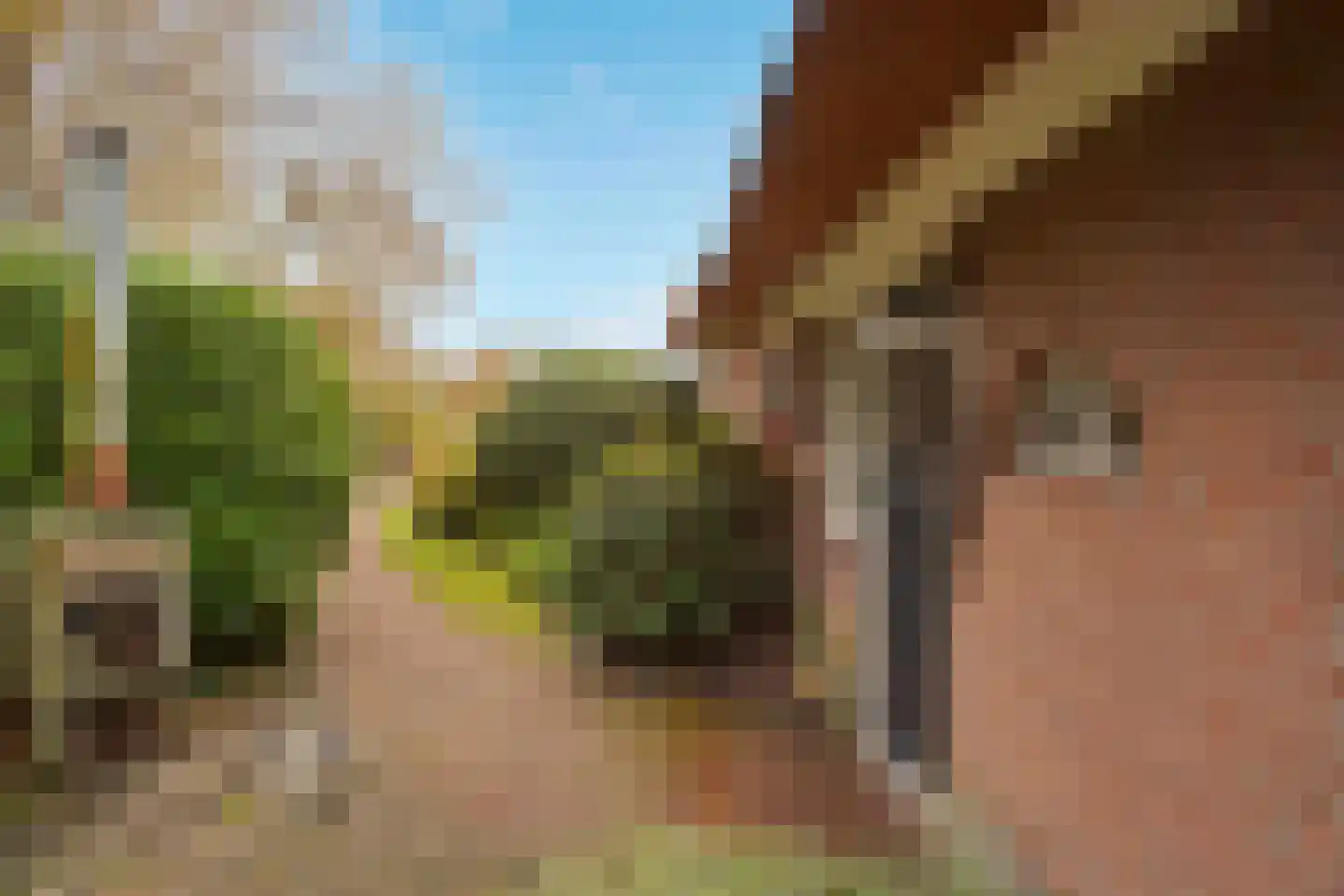 Goorweg 3 Doornspijk thumbnail 78