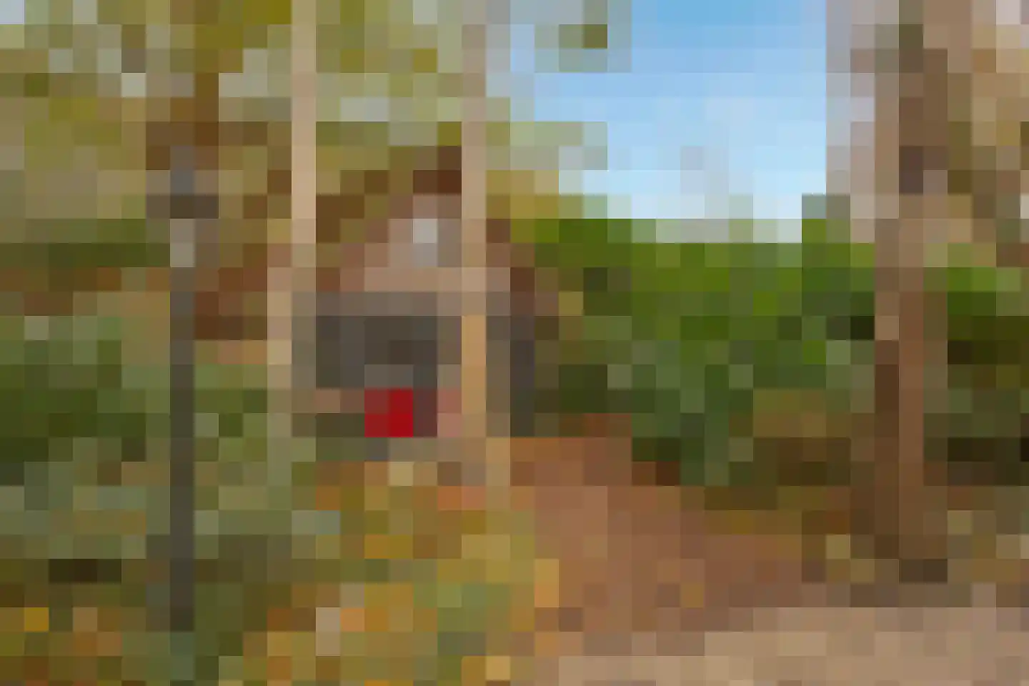 Goorweg 3 Doornspijk thumbnail 80