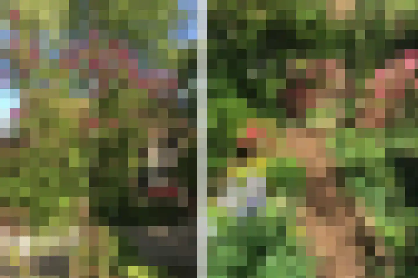 Goorweg 3 Doornspijk thumbnail 82