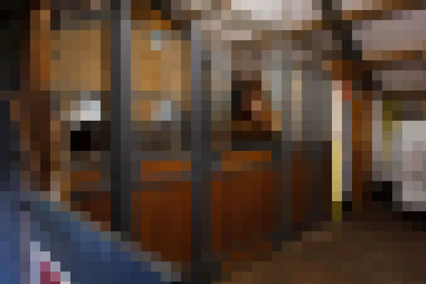 Goorweg 3 Doornspijk thumbnail 82