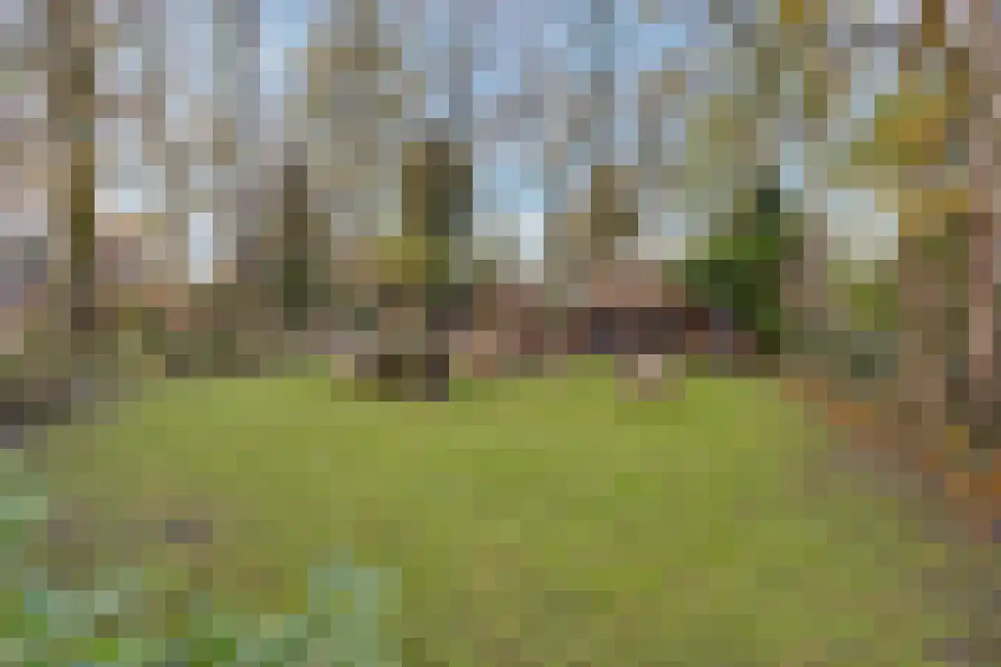 Goorweg 3 Doornspijk thumbnail 90