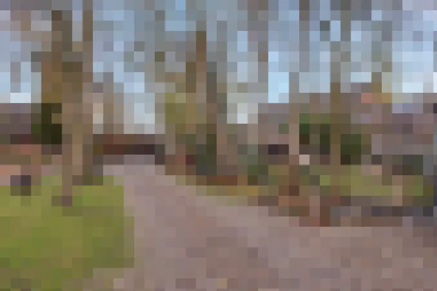 Goorweg 3 Doornspijk thumbnail 91