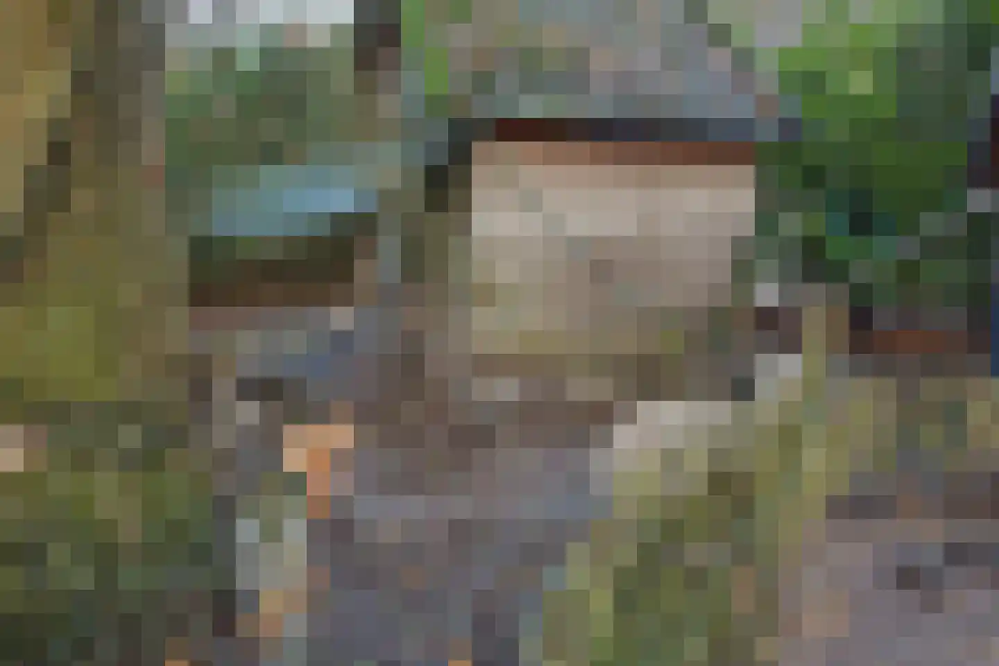 Goorweg 3 Doornspijk thumbnail 94