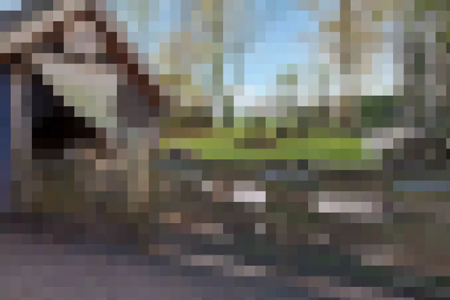 Goorweg 3 Doornspijk thumbnail 95