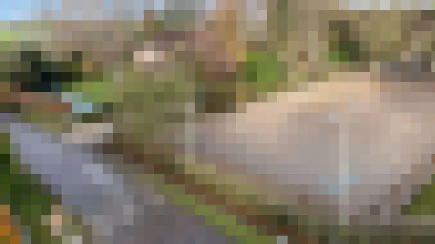 Goorweg 3 Doornspijk thumbnail 96