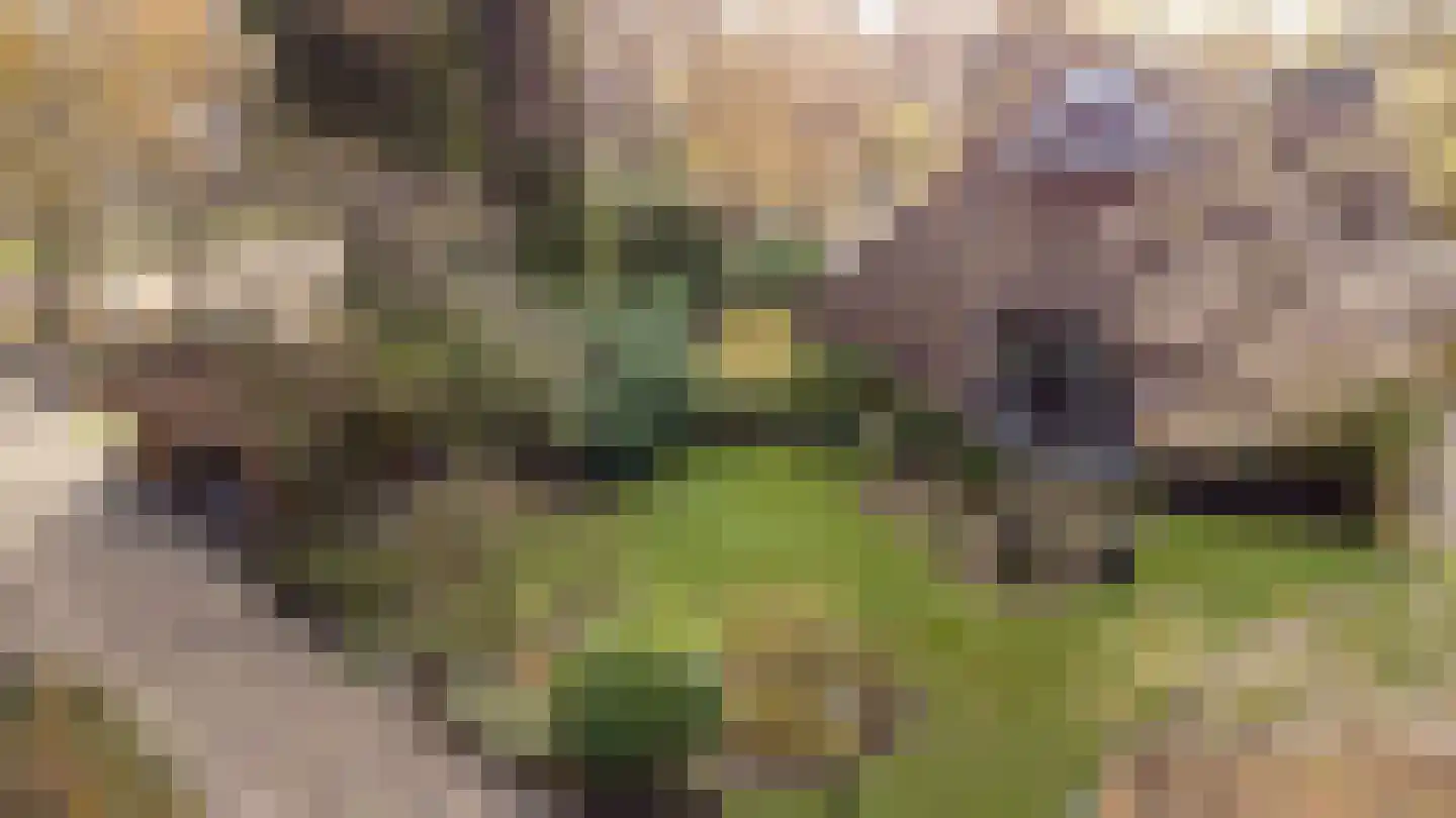 Goorweg 3 Doornspijk thumbnail 98
