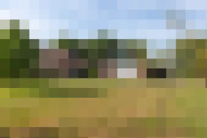 Goorweg 34 Winterswijk Meddo thumbnail 49