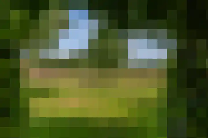 Goorweg 34 Winterswijk Meddo thumbnail 69