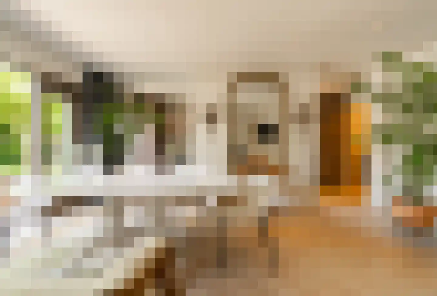 Goossen de Witstraat 17 Laren thumbnail 15
