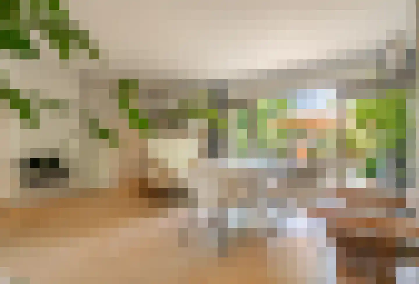 Goossen de Witstraat 17 Laren thumbnail 18